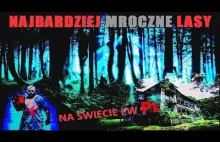 Najbardziej mroczne lasy na świecie i w Polsce [TOP 3]