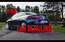 Car detailing