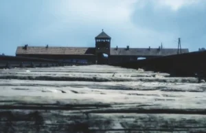 "Times of Israel" pisze o "pierwszym transporcie do Auschwitz". Muzeum w...