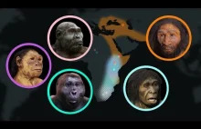 7 milionów lat ewolucji człowieka