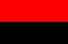 Flagi OUN-Bandery uznane za oficjalne w obwodzie...