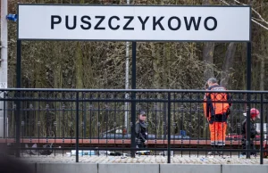 Wypadek w Puszczykowie. Prokuratura zmienia zarzuty dla kierowcy karetki