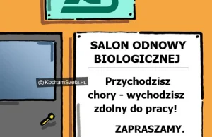 Niezawodny ZUS