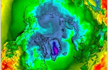 Arktyczny Lód: 2012 - powrót?
