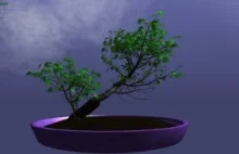 Go Bonsai - symulator wzrostu i obróbki drzewka Bonsai