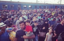 Imigrantów będzie więcej! Tusk już oficjalnie w Brukseli o nowym exodusie
