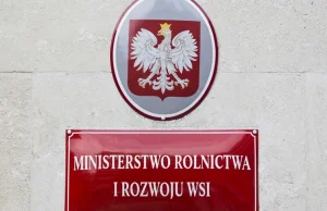 Rząd szuka oszczędności w resortach. Chodzi o środki na tzw. piątkę Kaczyńskiego