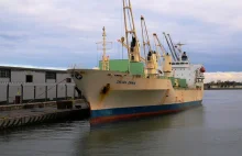 Port Gdańsk znów będzie przeładowywał banany z Ameryki Środkowej