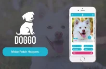 Doggo – aplikacja do przyspieszenia treningu psa przy pomocy uczenia maszynowego