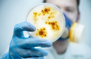 NEW DELHI - superbakteria oporna na antybiotyki. Jak można się nią zarazić?