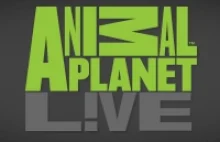 Animal Planet Live - Animal Planet L!VE