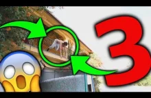 3 NAJCIEKAWSZE POMYSŁY Z UDZIAŁEM TRAMPOLIN!