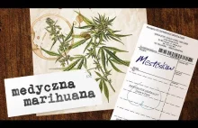 Medyczna marihuana: na co pomaga? - dr Marek Bachański