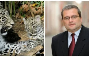 Radny PiS: Zoo w Poznaniu wspiera propagandę Putina