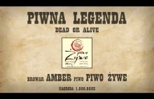 Piwo Żywe - degustacja piwnej legendy