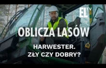 Harwester. Zły czy dobry? - [Oblicza lasów]