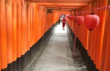 Niesamowita japońska świątynia Fushimi Inari i Złoty Pawilon