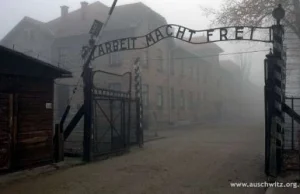 Norweski dziennikarz o Auschwitz: "polski obóz"