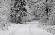 Burza śnieżna nad Mazowszem. W wypadkach zginęło 6 osób