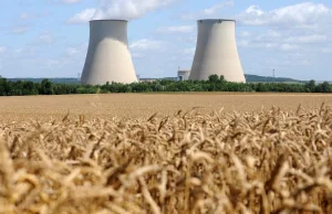 Ukraina zaproponowała Polsce elektrownię atomową na własność