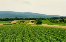 Polskie rolnictwo może skorzystać na ociepleniu klimatu