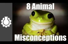8 popularnych nieporozumień na temat zwierząt