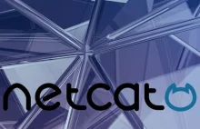 Silence video: Netcat