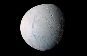 Enceladus ma wszystko, czego potrzeba, by utrzymać życie