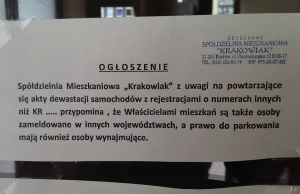 Kraków. Niszczą samochody z obcymi tablicami.