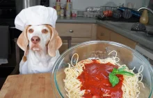 Wyznawcy Potwora Spaghetti skarżą się na Polskę w Strasburgu