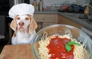 Wyznawcy Potwora Spaghetti skarżą się na Polskę w Strasburgu