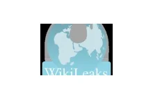 Wikileaks: USA we Francji wspierają mniejszości a zwalczają