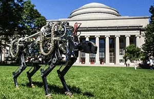 Ulepszony Cheetah od MIT biega na wolności
