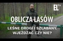 Leśne drogi i szlabany. Wjeżdżać czy nie? | Oblicza lasów #56