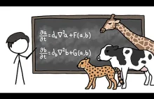 Czy matematyka potrafi wyjaśnić wzory u zwierząt?