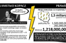 Dzięki Kopacz twoje dzieci zapłacą więcej za prąd!