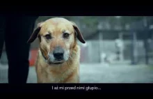 Kampania "Dobre wyjście dla psa to Ty" z Borysem Szycem