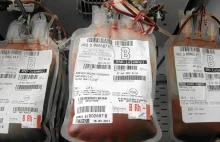 Japonia. Naukowcy stworzyli sztuczną krew. To może być rewolucja w...