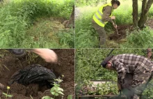 Pochował 130 psów w ogródku. "Tam już nie ma śladu, robaki wszystko zjadły"