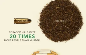 Ciekawa infografika na temat palenia tytoniu