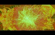 Haldolium - One Of These Days (Psy Trance Visualization)