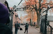 Auschwitz na bożonarodzeniowej dekoracji. Amazon reaguje