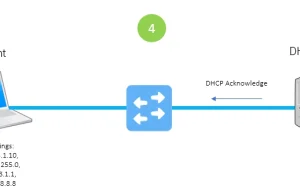 Czym jest protokół DHCP i jak działa? [ENG]