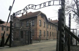 Chelsea F.C. wyśle rasistowskich kiboli do Auschwitz - TopMejt