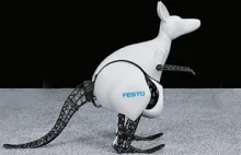 Niezwykły bioniczny robot kangur