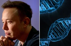 "Problem Hitlera", czyli Elon Musk dystansuje się od badań nad ludzkim DNA