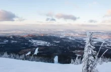 „Miałem pani stopy masować?”, „Smród ustał, jak pan wyjechał”. Tak...