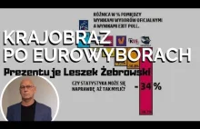 Leszek Żebrowski o sytuacji w Polsce po eurowyborach...