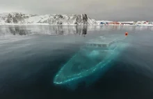 Zatopiony jacht na Antarktydzie