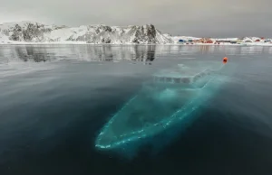 Zatopiony jacht na Antarktydzie